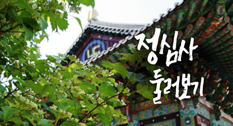 법회 갤러리